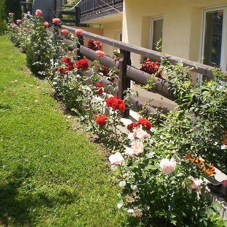 Apartments Vila Velickovic Zlatibor Zewnętrze zdjęcie